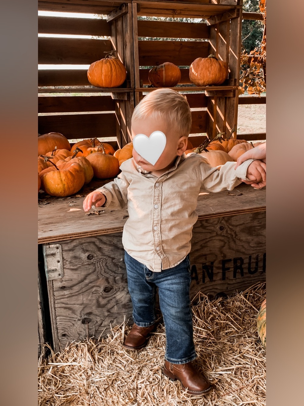 Toddler Button Down Shirt